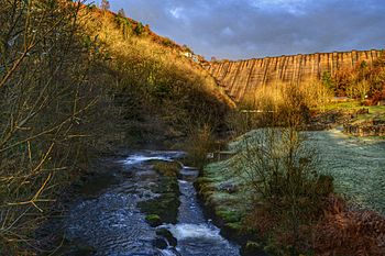 Llyn Clywedog near Llanidloes.jpg