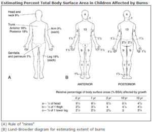 Lund-Browder chart-burn injury area