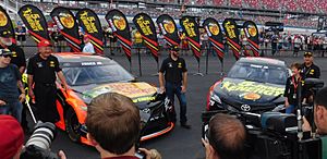 Martin Truex Jr. 2018 Cars