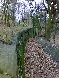 Mbb canal reinforcing walls