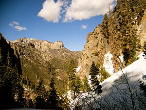 Mt. Charleston, Cathedral Rock trail