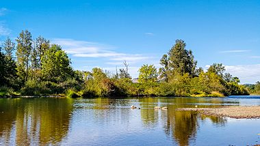 Mt Pisgah Arboretum Willamette River