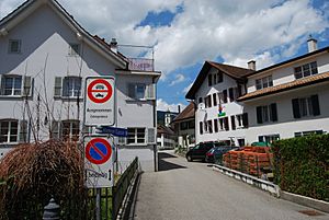 Muemliswil 497