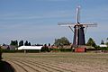 Oeffelt, molen de Vooruitgang RM481740 IMG 5600 2020-05-21 16.09