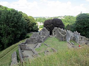 Okehampton Castle (14722992259)