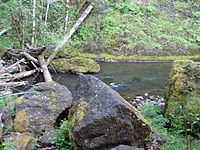 OregonCoastRangeRiver