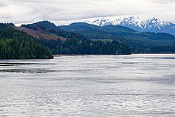 Pacific Ranges over Johnstone Strait.jpg