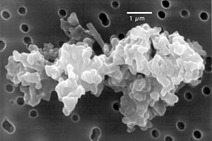 Porous chondriteIDP