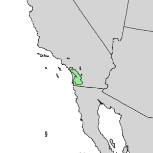 Quercus engelmannii range map 1.png