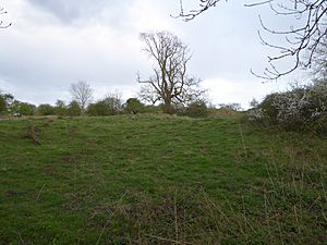 Racecourse Farm Fields 4.jpg