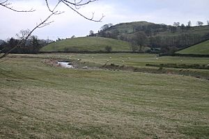 River gowan