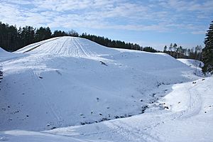 Seimyniskeliai hillfort