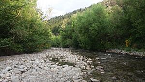 Selwyn River, Glentunnel (1)