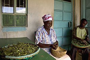 Shelling pigeonpeas, Kenya