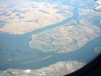 An aerial photo of strangely-shaped islands covered in farmlands.