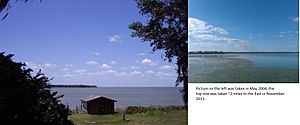 South shore of Lake Apopka May 2004 vs November 2011