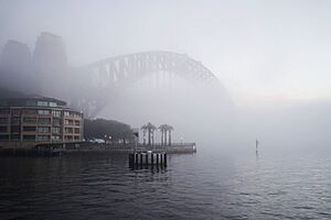 Sydneyfoggy