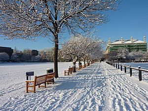 Tcd-snow