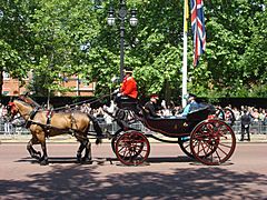 Trooping the Colour 2009 040