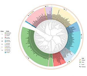 Viruses-12-01010-g001-pdf-crop