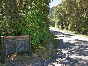 Waiohine Gorge campsite map