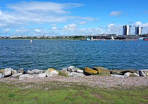 Waterloo Marina (August 2017)