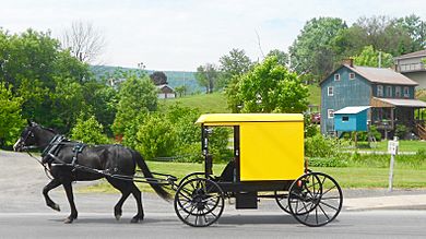 Yellow top buggy Belleville PA