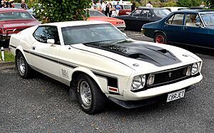 1973 Ford Mustang (16702425712)