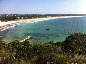 Albany Shark barrier