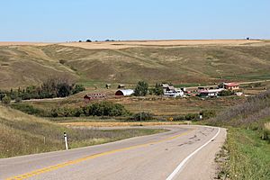 Alberta Barn hunt (9647264395).jpg