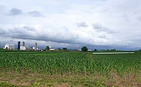 Amish dairy farms