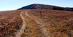 Appalachian-trail-big-bald-tnnc1