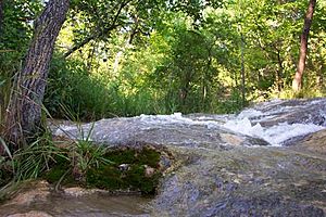 Arbuckle mts