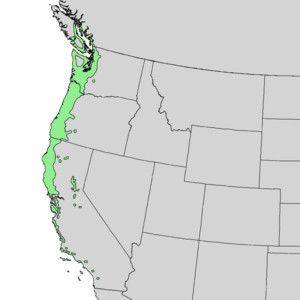 Arbutus menziesii range map 1.png