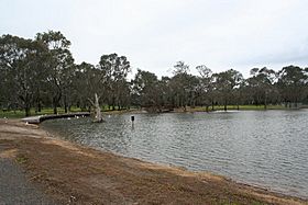 Balyang-sanctuary-geelong-lake