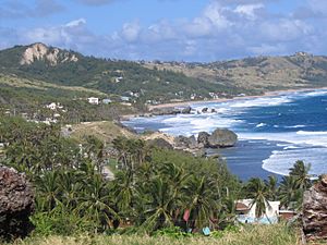 Bathsheba, Barbados 08