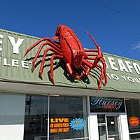 Big Rock Lobster.jpg