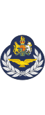 British RAF (Aircrew) OR-9.svg