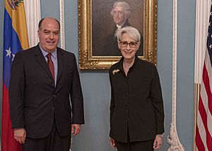 Deputy Secretary Sherman Meets with Venezuelan Interim Foreign Affairs Commissioner Borges (51267482067)