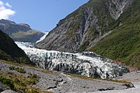 Fox Glacier NZ 2.jpg