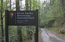 Gsmnp-abrams-creek-entrance1