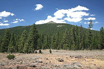 Hager Mountain, Fremont NF, Oregon.jpg