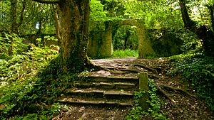 Killakee Estate Ruined Garden (Summer)