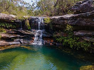 Local waterhole, Royal National Park