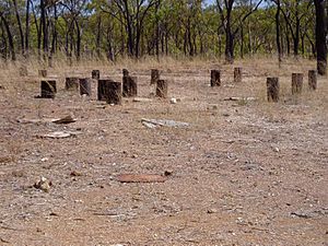 Maytown Township (2003), stumps of the former school?.jpg