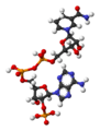 NADPH-3D-balls