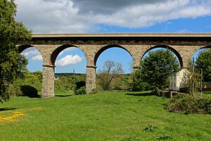 Newton Cap Viaduct (geograph 7488900)