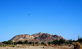 Piute Butte.jpg