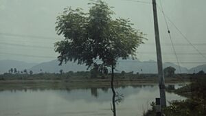 Podhigai shadow falls on Lake