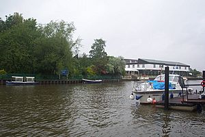 Ravens-ait-looking-downstream-from=draw-dock